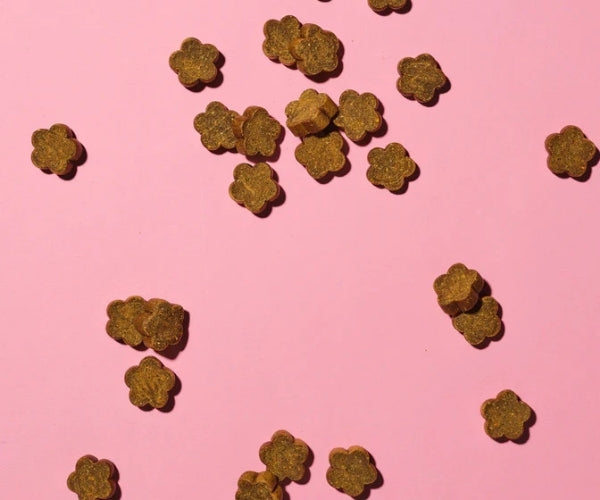 Pooch & Mutt Calming Probiotic Meaty Treats for Dogs 120g