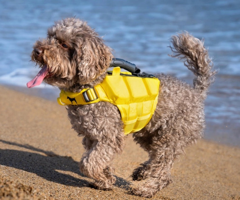 Noah & Paw Dog Life Jacket - Human Standards Life Jacket with Reinforced Rescue Handles for Comfortable & Supportive Swimming