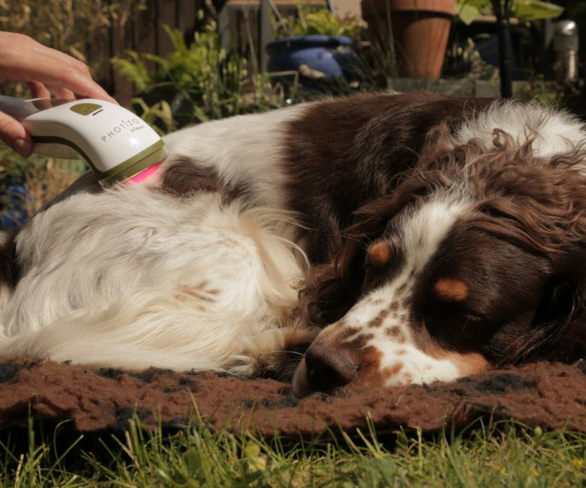 Photizo Vetcare - LED Light Therapy - Excellent for Arthritis, Stiffness and More. Accelerates Healing