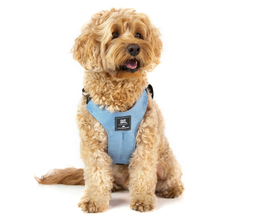 Sleepypod ClickIt Sport Plus Safety Dog Harness  - Keep Your Dog Safe In and Out Of The Car