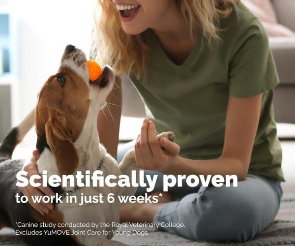 YuMOVE Joint Care Supplement for Adult Dogs - Soothes Stiff Joints 60, 120 or 300 Tablets