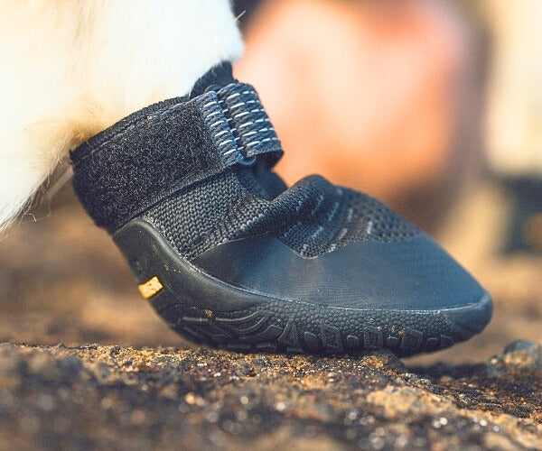 Ruffwear Ridgeline Lifestyle Dog Boots - Comfortable & Breathable for Everyday Adventures (two boots)