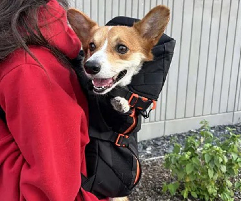Little Chonk Maxine One Dog Backpack - Ergonomic Carrying for Tired & Limited Mobility Dogs (up to 22kg)