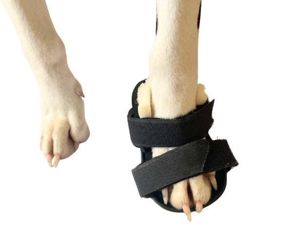 Zoomadog Buster Boot Paw Splint for Dogs - Ideal for Broken Toes & Paw Injuries (firm)