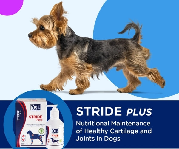 TRM Pet Stride Plus Liquid Supplement for Dogs - Maintains Healthy Cartilage & Joints 200ml or 500ml