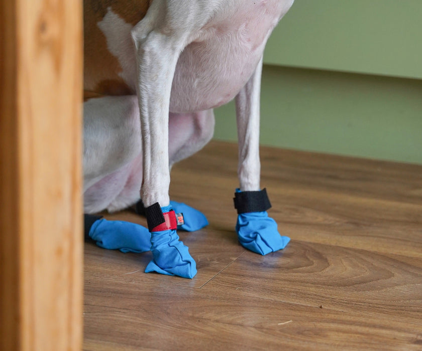 Non-Stop Dogwear Long Distance Dog Boots - Light Shoes with Good Grip to Protect Against Snow & Ice (four boots)