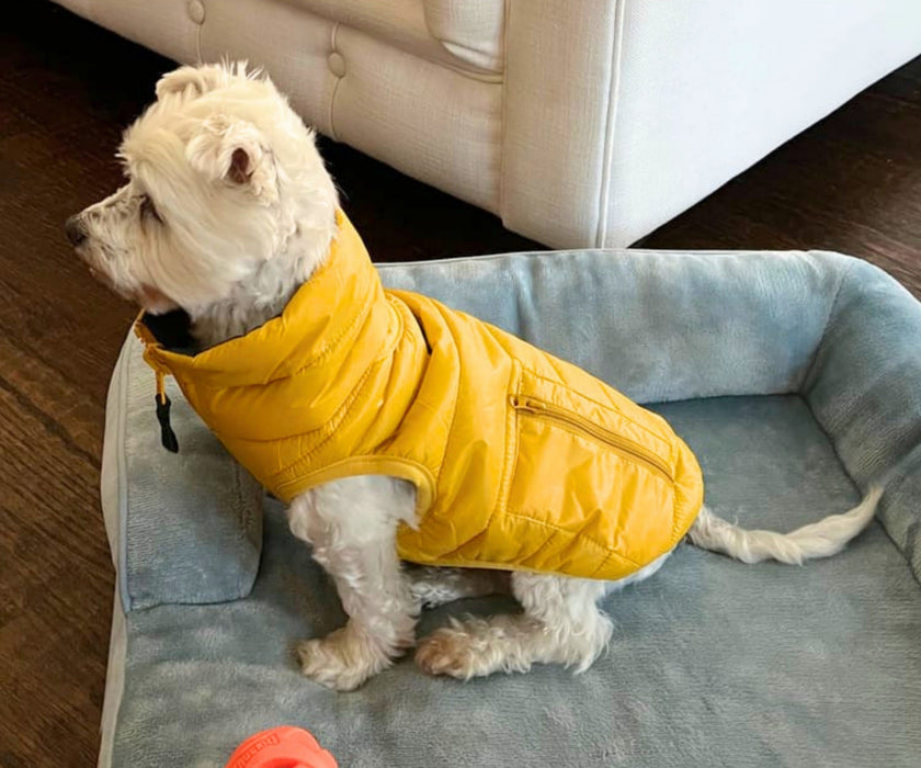 WagWear Dog Puffer Vest - Keep Your Dog Warm and Cosy, Easy to Zip On