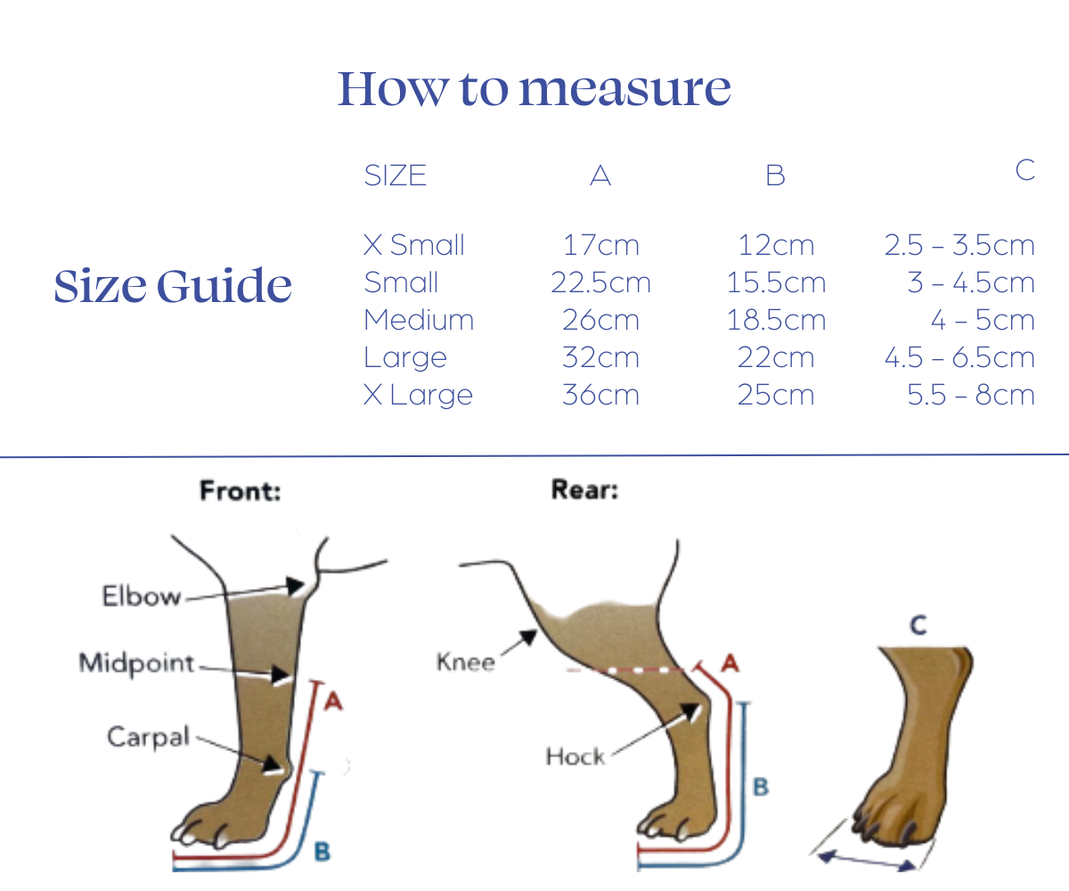 Instructions on Measuring