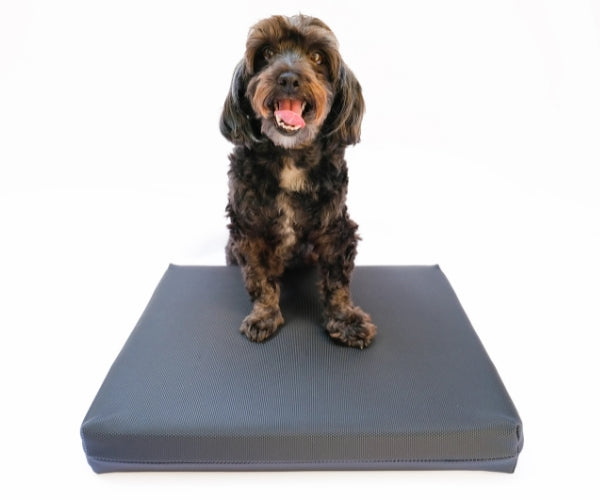 FitPaws Balance Pad Grip Cover for Dogs - Anti-Slip Cover for Extra Grip & Protection