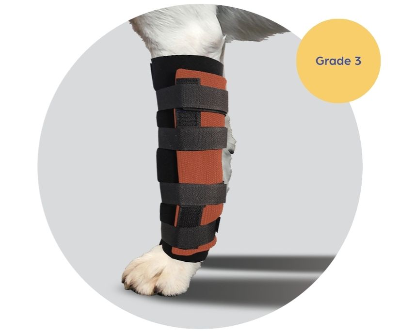 Scandi Orthopedic Dog Carpal Front Splint - Grade 3 (rigid)