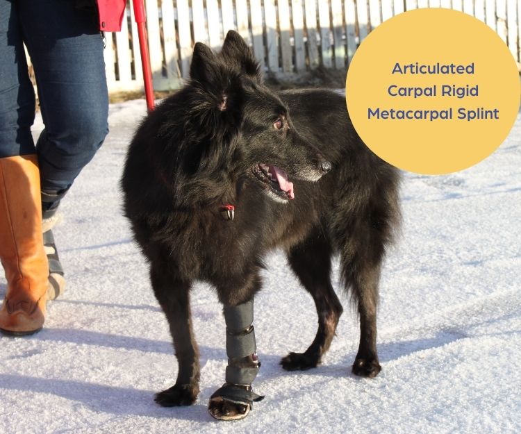 Scandi Orthopedic Dog Carpal Front Splint - Grade 4 (rigid) - Fully Customised