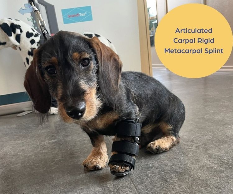 Scandi Orthopedic Dog Carpal Front Splint - Grade 4 (rigid) - Fully Customised