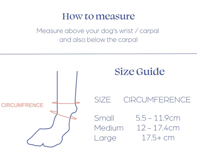 *NEW* Carpal Dog Splint by Zoomadog - Ideal for Carpal Damage, Weakness & Injuries (firm)