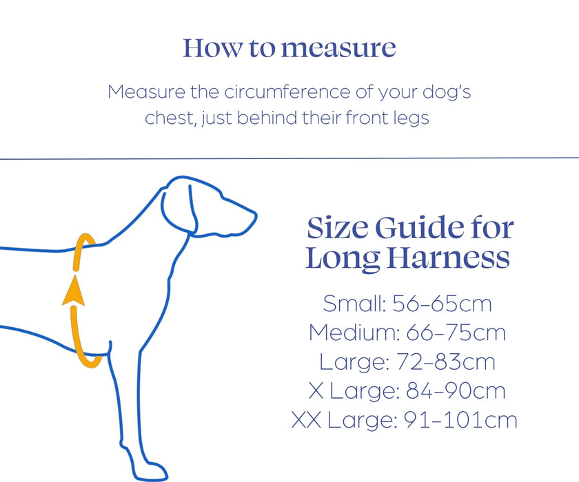 Sleepypod ClickIt Range Dog Car Safety Harness - Easy Lifting & Secure Travel for Your Dog