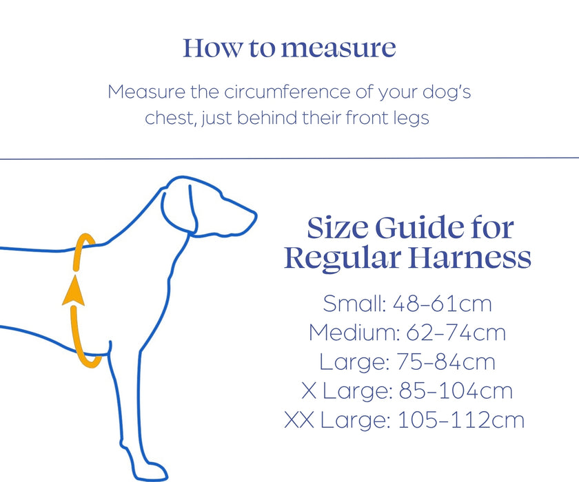 Sleepypod ClickIt Range Dog Car Safety Harness - Easy Lifting & Secure Travel for Your Dog