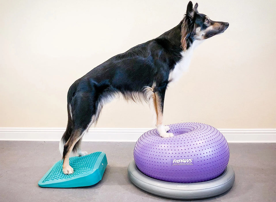 FitPaws Balance Ramp 14" - Aqua