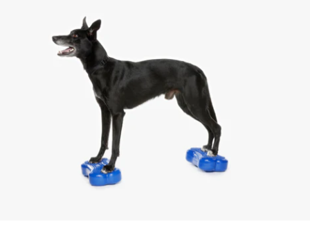 FitPaws Bone Mini (Set of 2) - Razzleberry, Blue or Mango