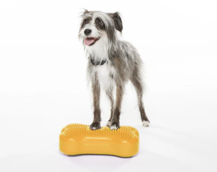 FitPaws Bone Mini (Set of 2) - Razzleberry, Blue or Mango