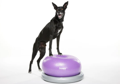 FitPaws Trax Donut - Purple