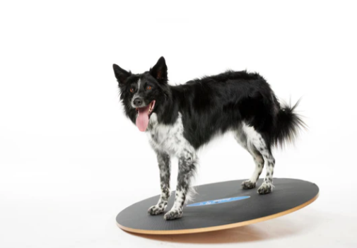 FitPaws Wobble Board 20" and 36"