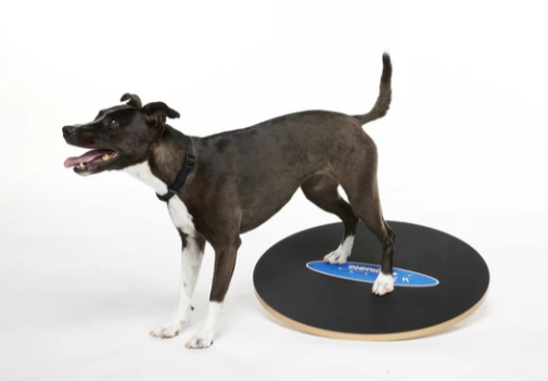 FitPaws Wobble Board 20" and 36"