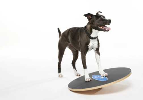 FitPaws Wobble Board 20" and 36"