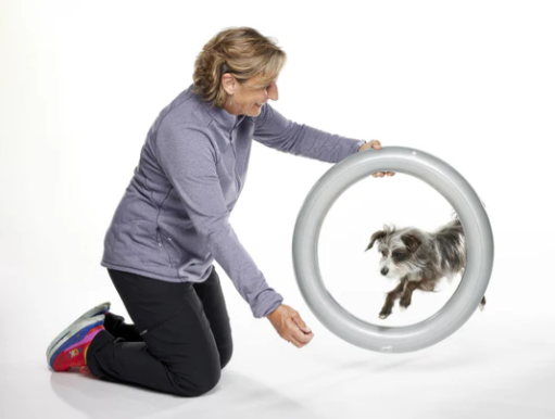 FitPaws Circular Product Holder - Grey