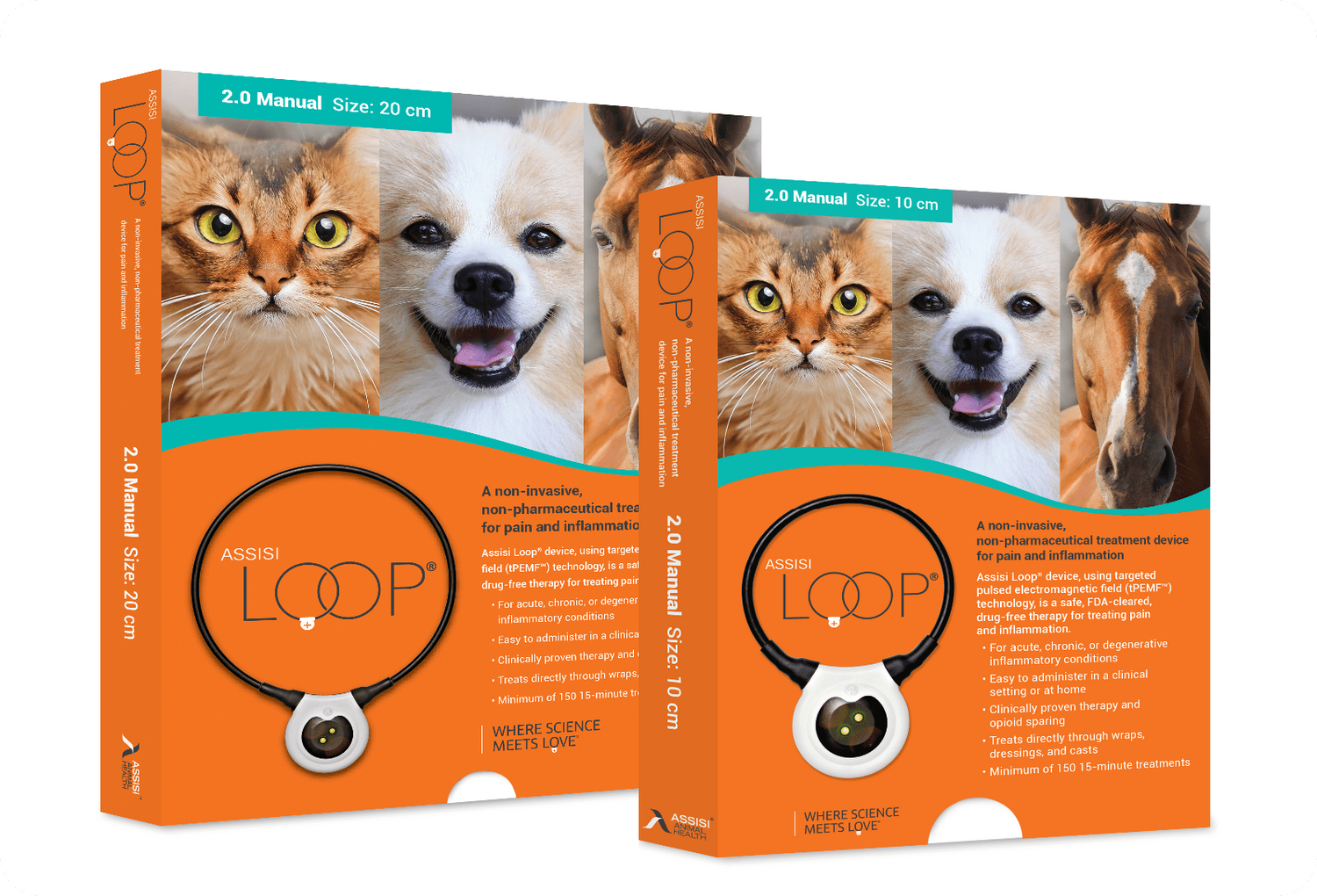 Buy the Assisi LOOP online