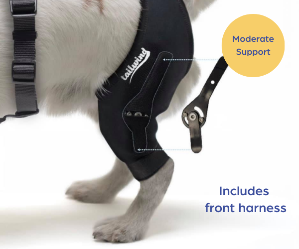 Tailwindpets Cruciate Hinged Dog Knee Brace Harness ZOOMADOG