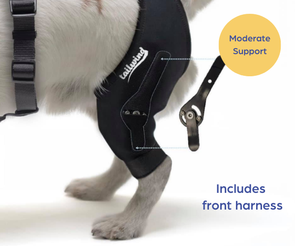 Tailwindpets Cruciate Hinged Dog Knee Brace + Harness