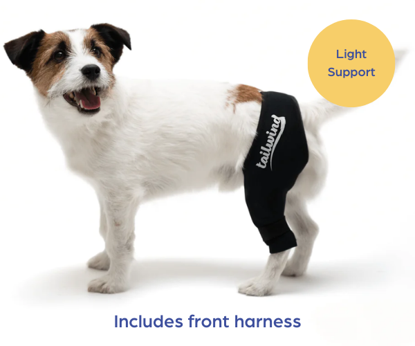 Tailwindpets Cruciate Dog Knee Brace and Harness