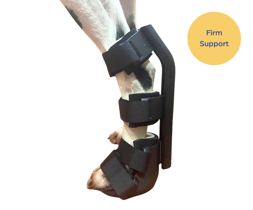 *NEW* Ultimate Full Rear Leg Dog Splint by Zoomadog - Ideal for Rear Leg Injuries & Weakness (firm)
