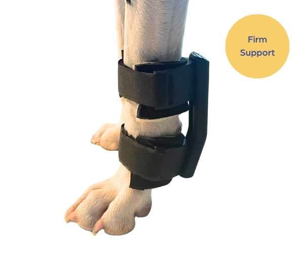 Zoomadog Carpal Splint for Dogs with Memory Foam Padding (firm)