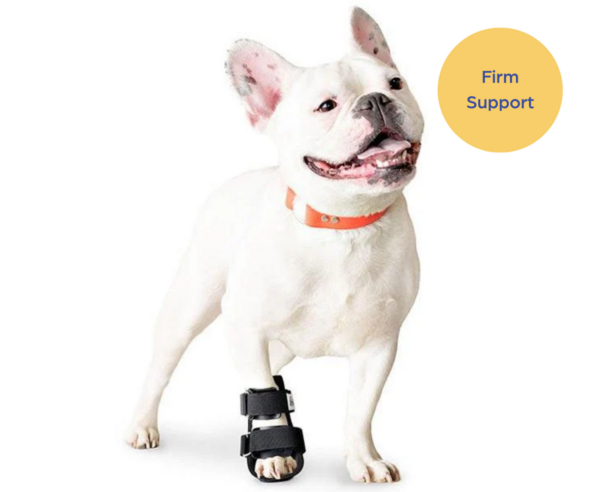 Dog boots for clearance knuckling