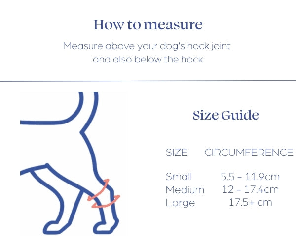 *NEW* Short Front Leg Dog Splint by Zoomadog - Ideal for Front Leg Injuries & Weakness (firm)