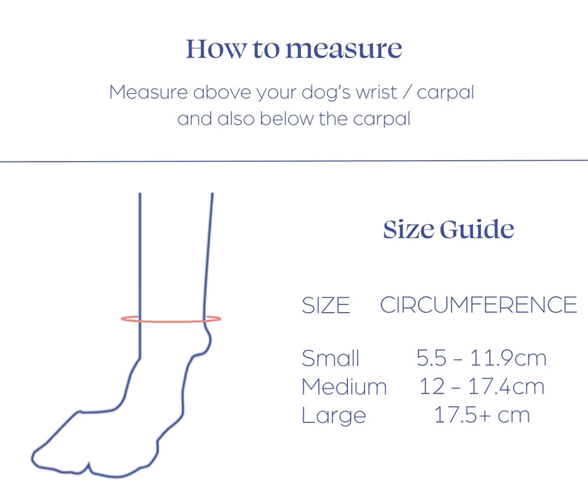 *NEW* Short Front Leg Dog Splint by Zoomadog - Ideal for Front Leg Injuries & Weakness (firm)