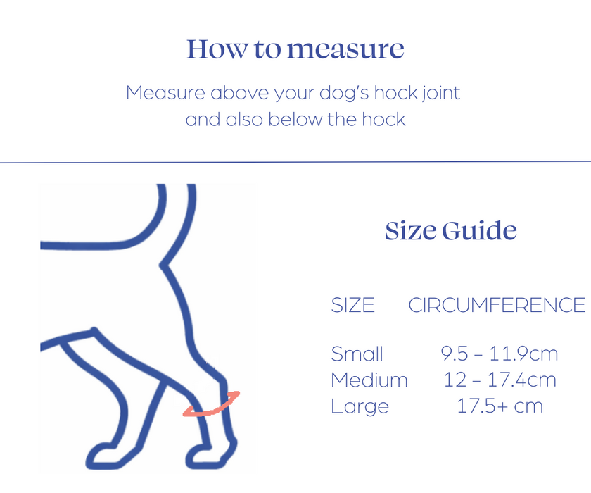 *NEW* Short Rear Leg Dog Splint by Zoomadog - Ideal for Rear Paws Injuries (firm)