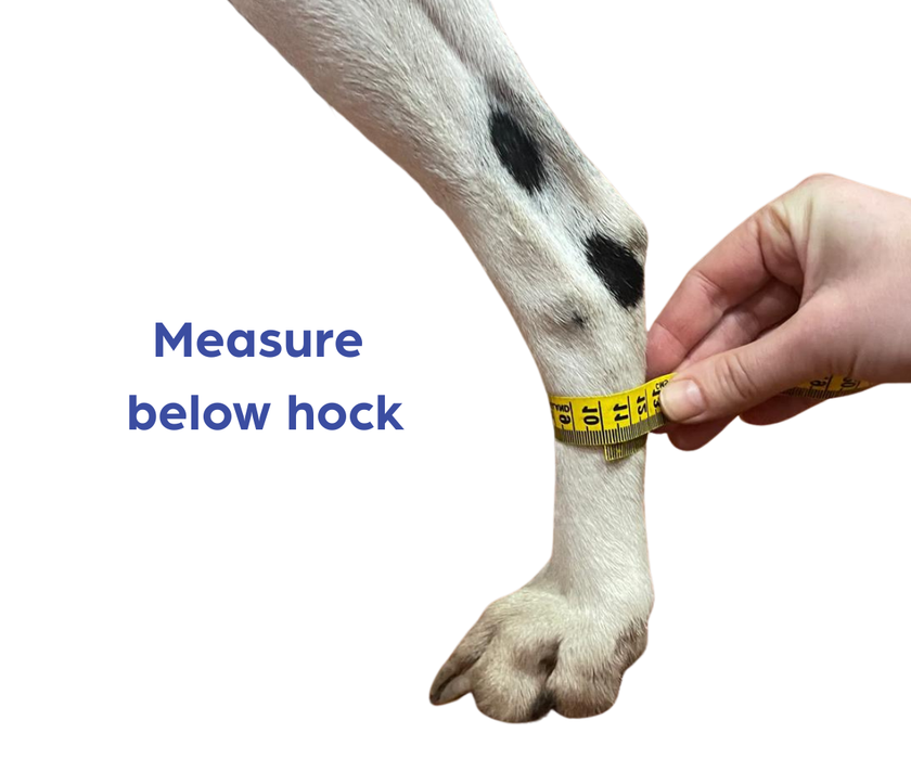 *NEW* Ultimate Full Rear Leg Dog Splint by Zoomadog - Ideal for Rear Leg Injuries & Weakness (firm)