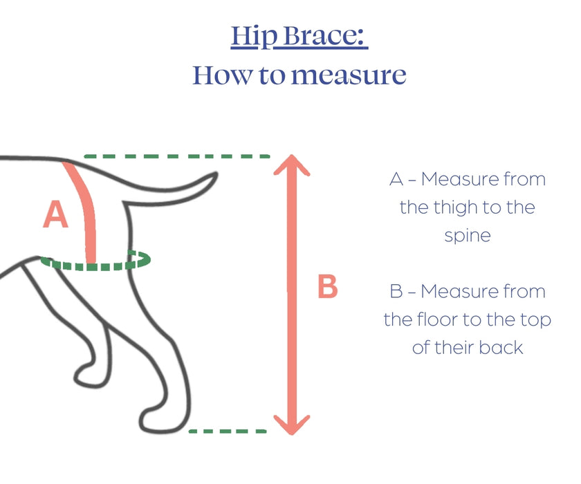 Zoomadog Happy Hips Dog Brace - Excellent for Hip Dysplasia & Hip Weakness