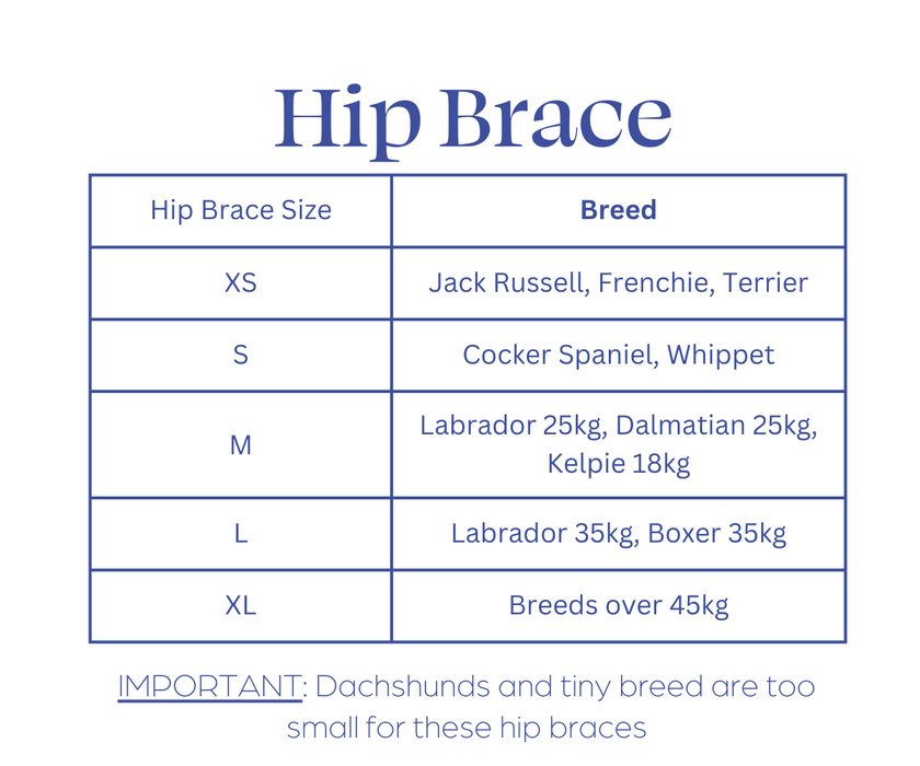 Dog Hip Dysplasia Brace by Zoomadog - Excellent for Hip Dysplasia & Hip Weakness