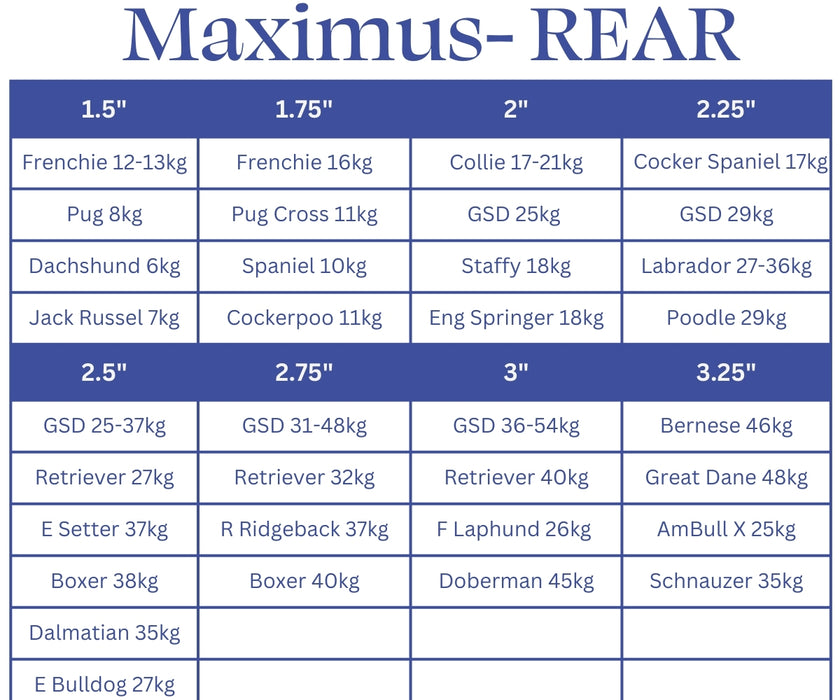 Maximus Skates - A Pair (two skates) in Blue for Wheelchair Dogs