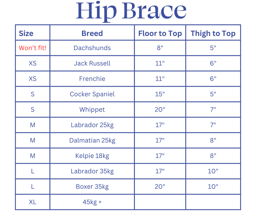 Dog Hip Dysplasia Brace by Zoomadog - Excellent for Hip Dysplasia & Hip Weakness
