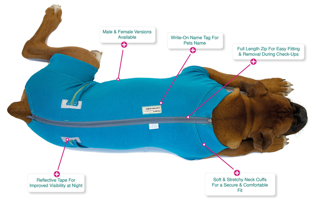 VetMedWear Recovery Suit for Dogs - Post-Surgery & Wound Protection