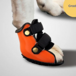 Paw Boot