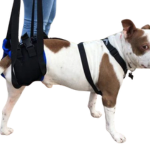 Amputee Harness