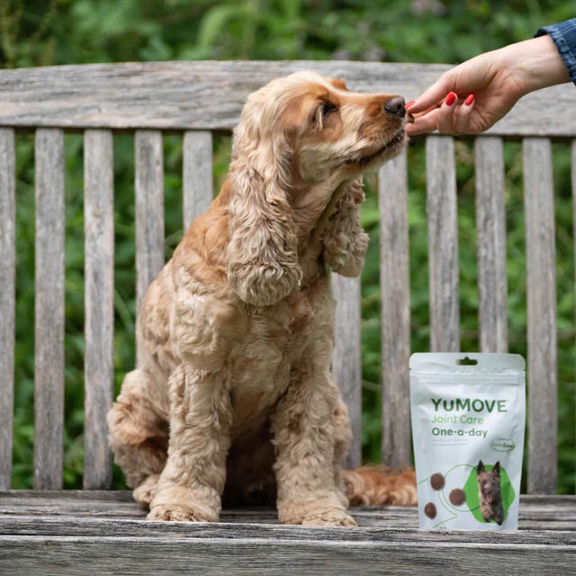 YuMOVE Joint Care One-a-Day Tasty Bites for Dogs - Simple Daily Joint Support 30 Bites