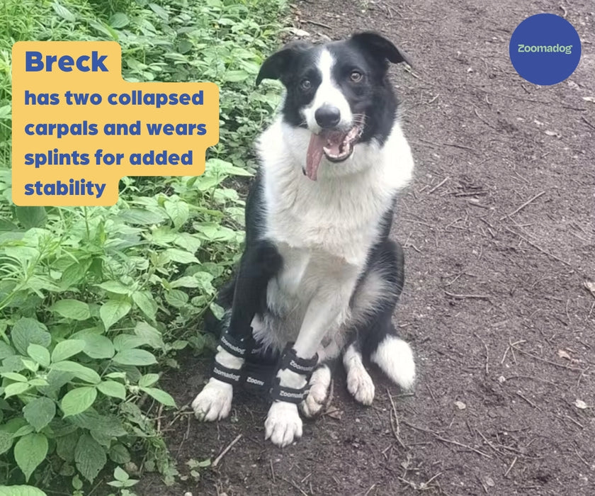 *NEW* Carpal Dog Splint by Zoomadog - Ideal for Carpal Damage, Weakness & Injuries (firm)