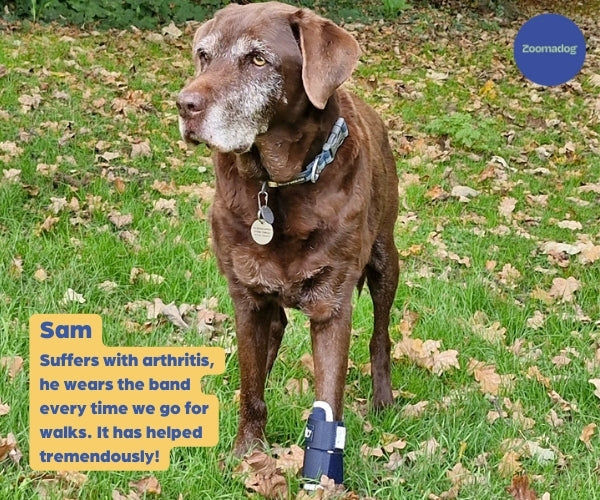 Sam wearing the Balto Carpal splint