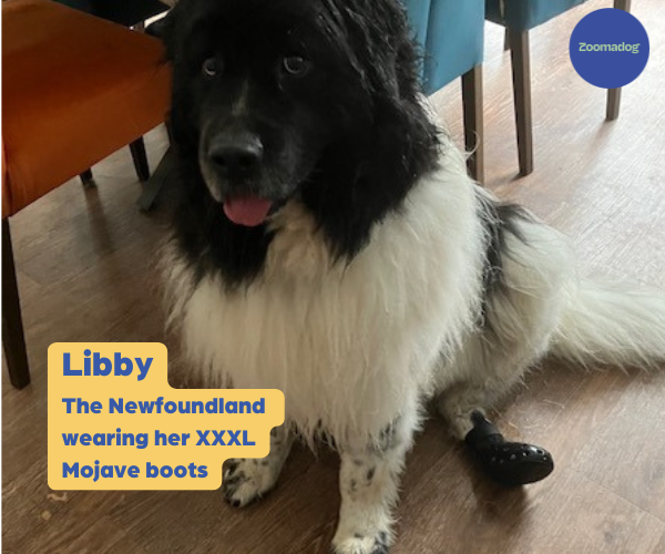 WagWear Mojave - Breathable Rubber Dog Boots for Extra Grip & Paw Protection (two boots)