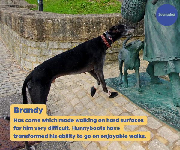 Hunnyboots - Set of Two Greyhound Boots V4 (a pair)